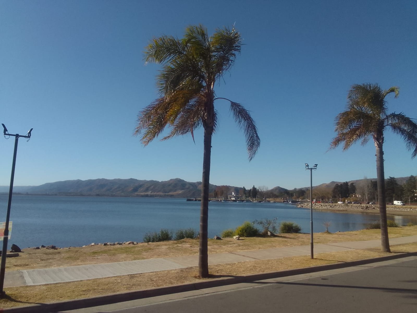 La costanera con palmeras frente al lago