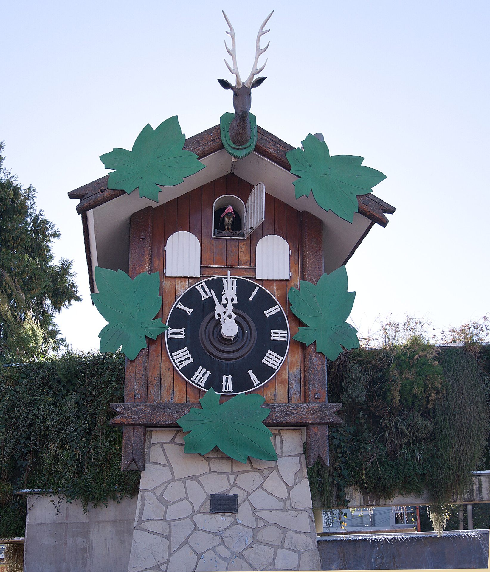 El Reloj Cucú de noche